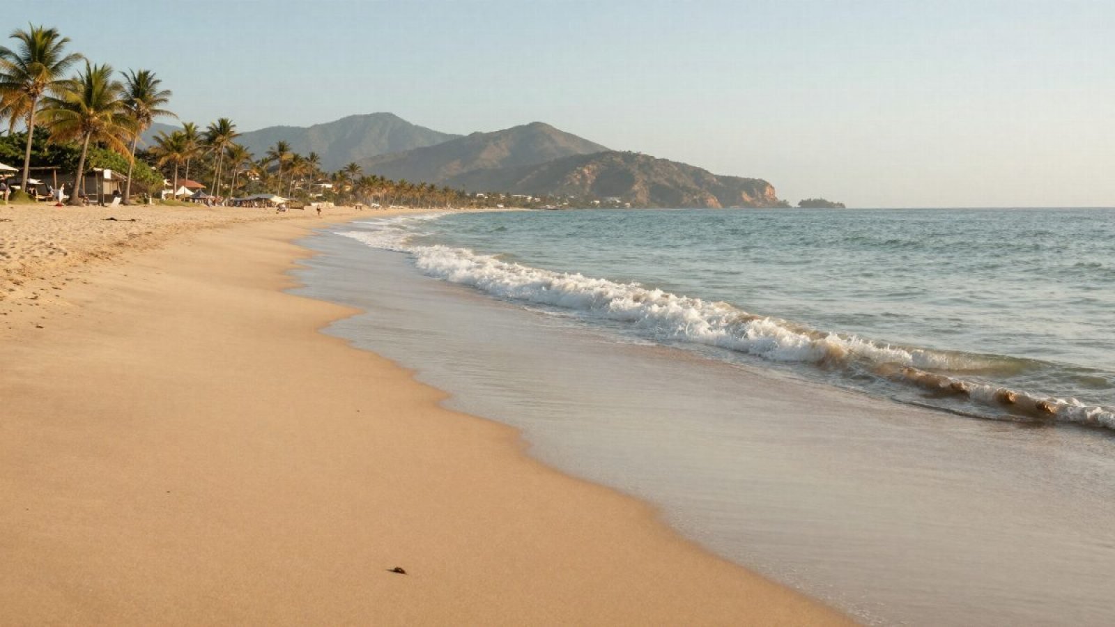 Flamingos, Riviera Nayarit